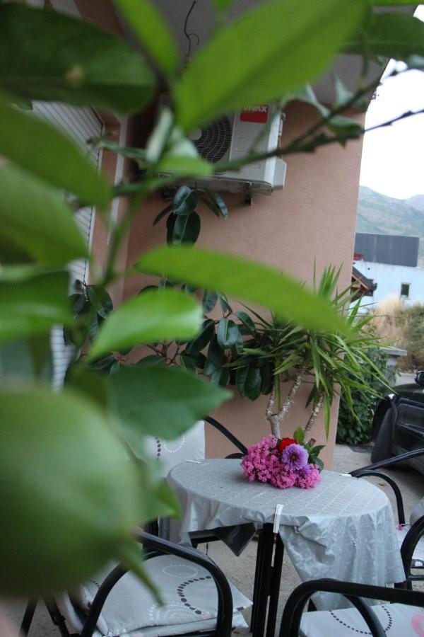 Apartman Anja 特雷比涅 外观 照片