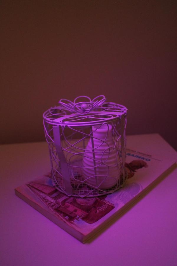 Apartman Anja 特雷比涅 外观 照片